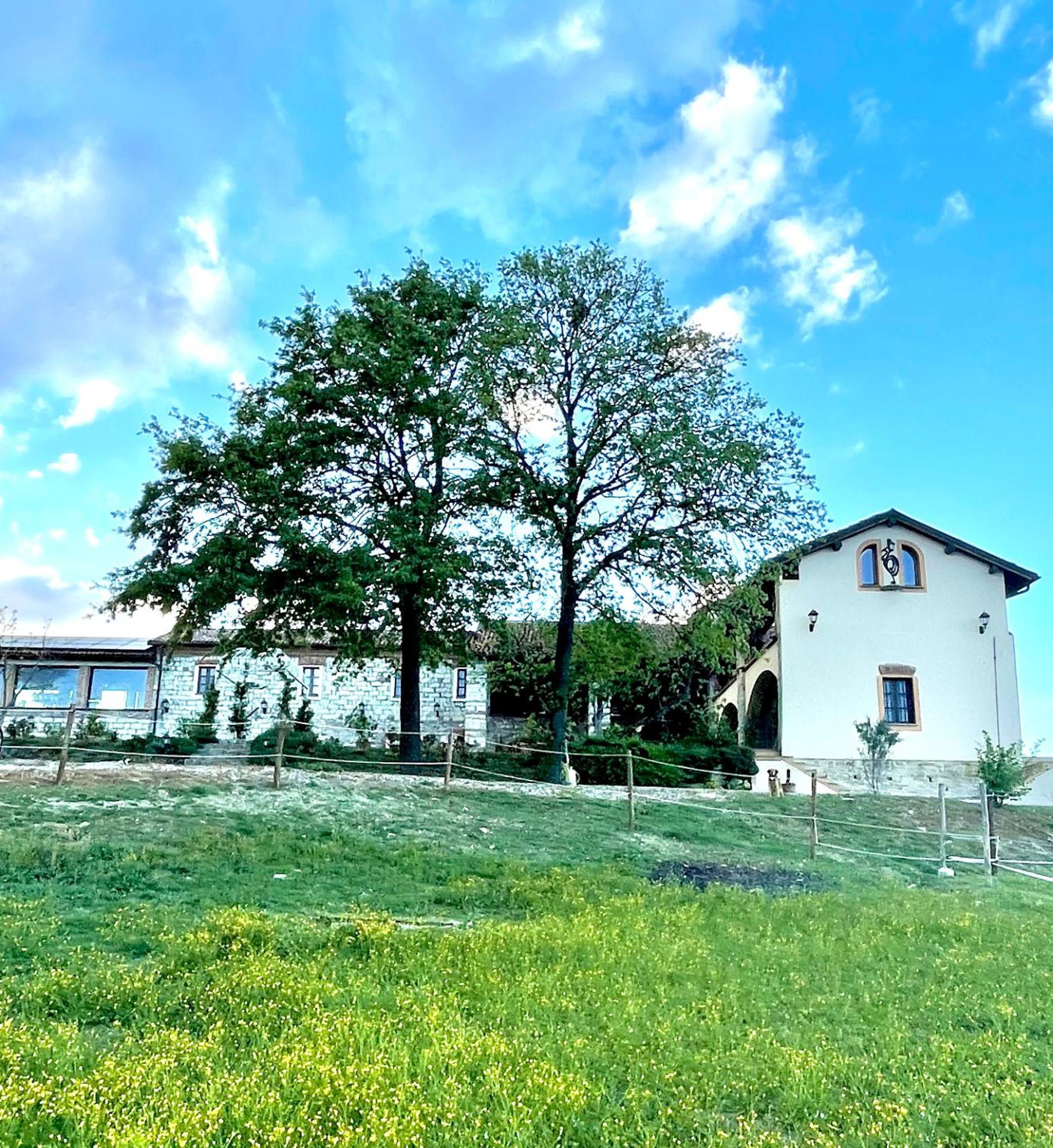 B&B Tenuta Il Galletto Casale Monferrato Exterior foto